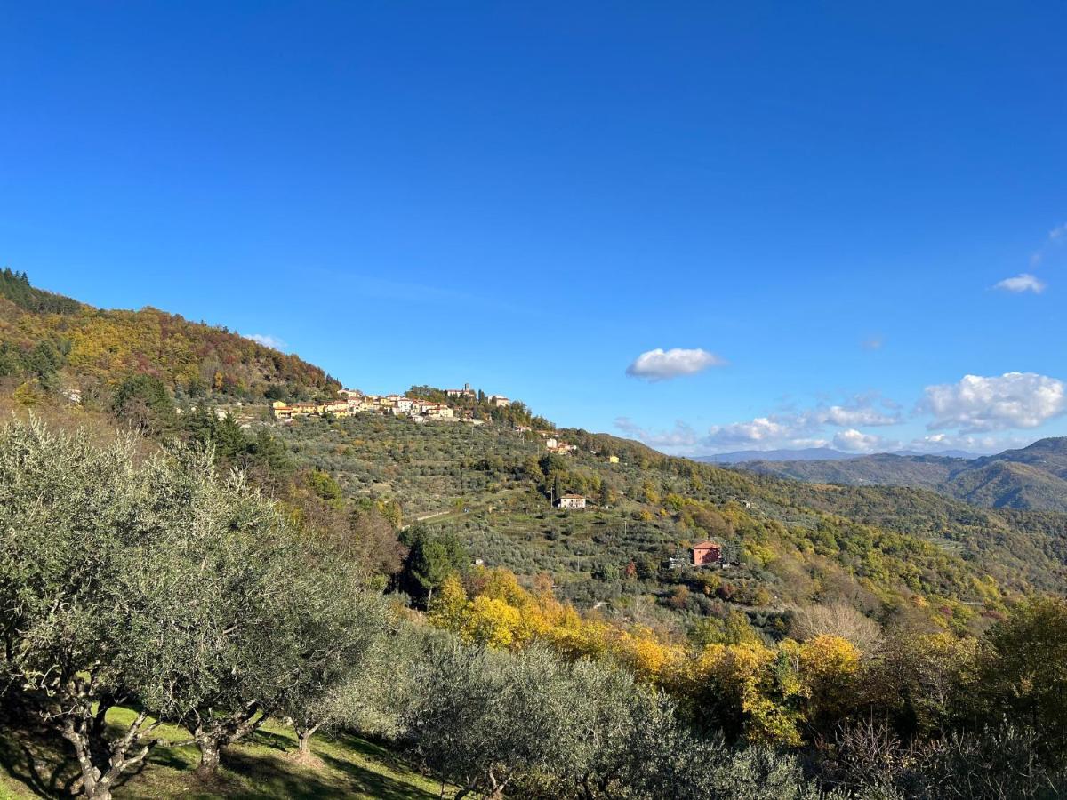 Villetta Mi Il Fabbro Exterior photo